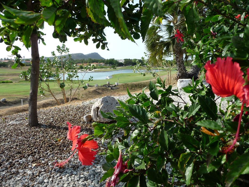 Blue Bay Beach Villa At Pool And Golfcourse Exterior foto